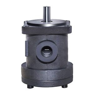 faste fortrengningspumper